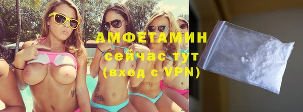 амф Вяземский