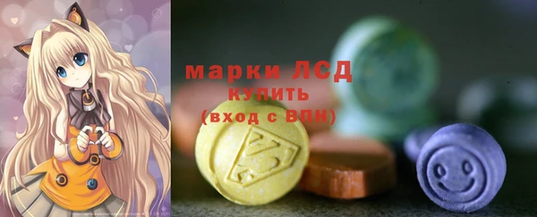 амф Вяземский