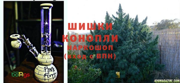 амф Вяземский