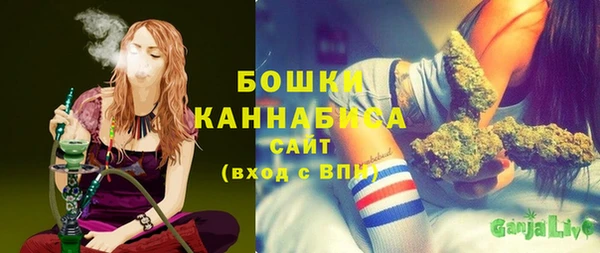 амф Вяземский