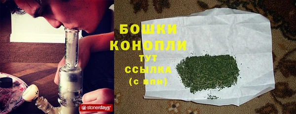 амф Вяземский