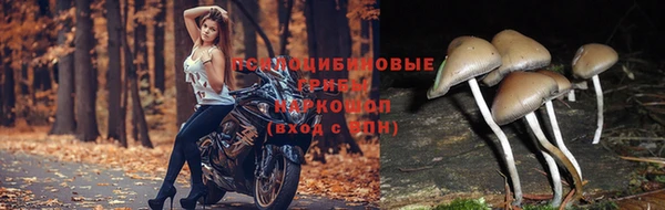 мет Вязники