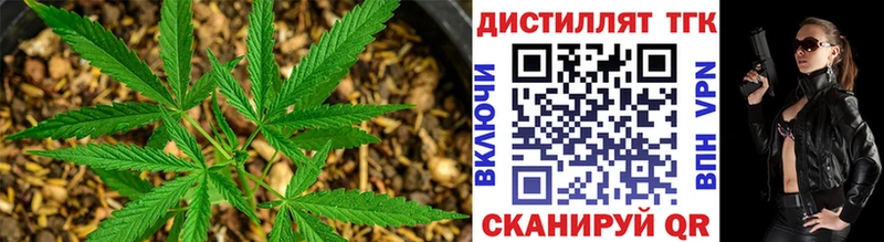 где купить наркотик Мезень Дистиллят ТГК Wax