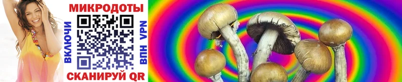 Псилоцибиновые грибы Psilocybine cubensis  наркотики  Мезень 