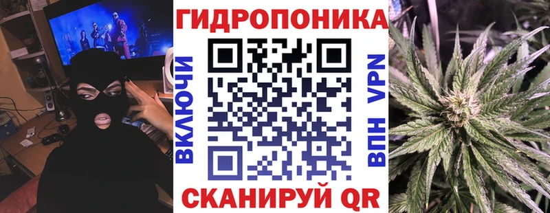 как найти   Мезень  Бошки Шишки MAZAR 
